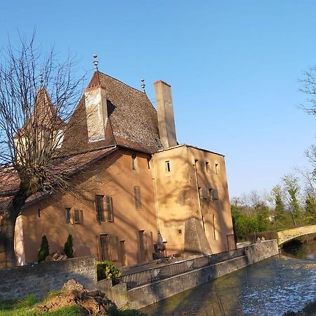 Chateau De La Venerie Denicé Exteriör bild