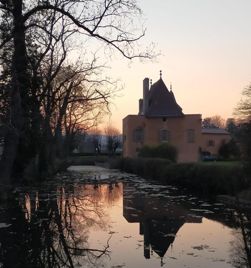 Chateau De La Venerie Denicé Exteriör bild