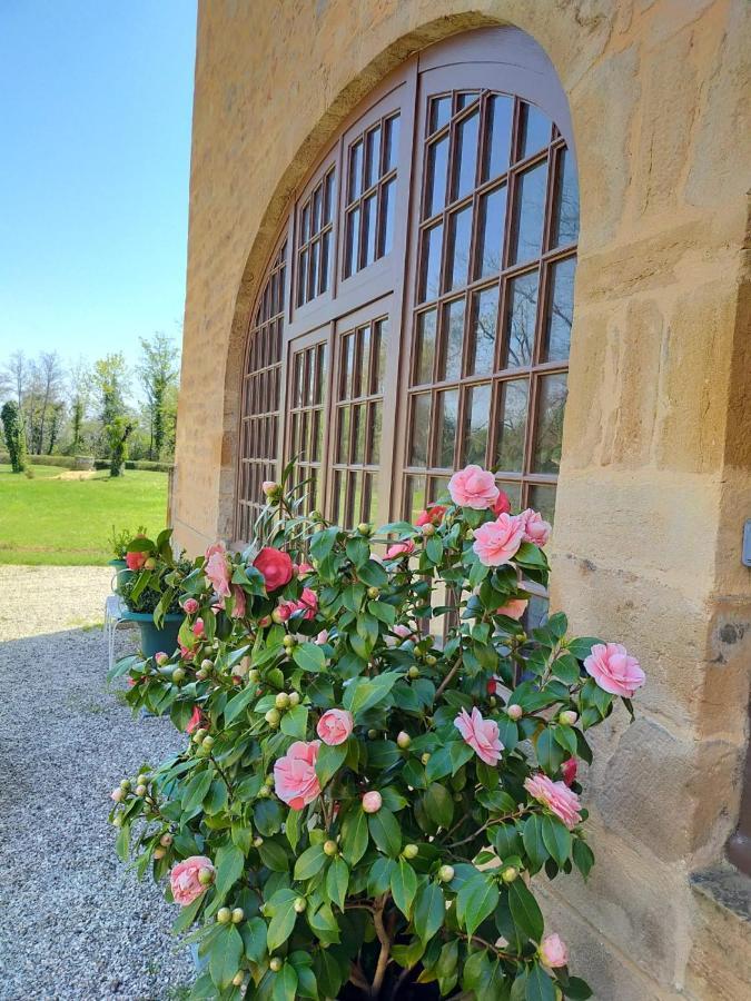 Chateau De La Venerie Denicé Exteriör bild