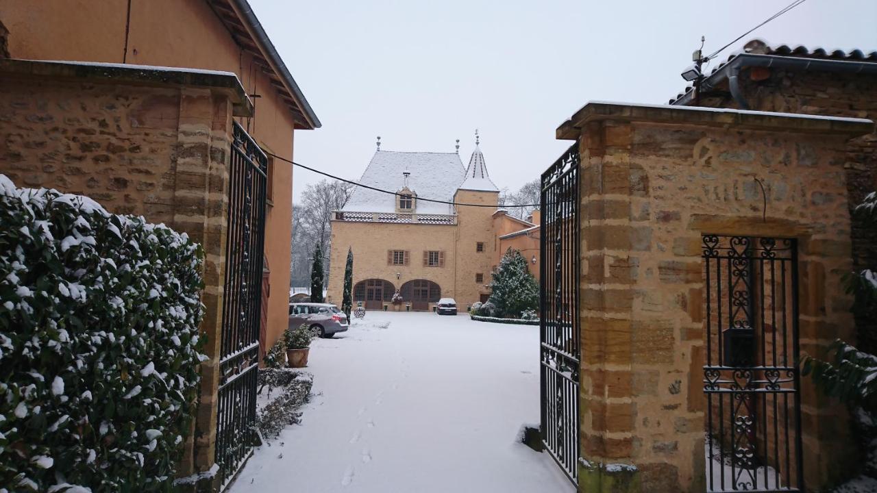 Chateau De La Venerie Denicé Exteriör bild