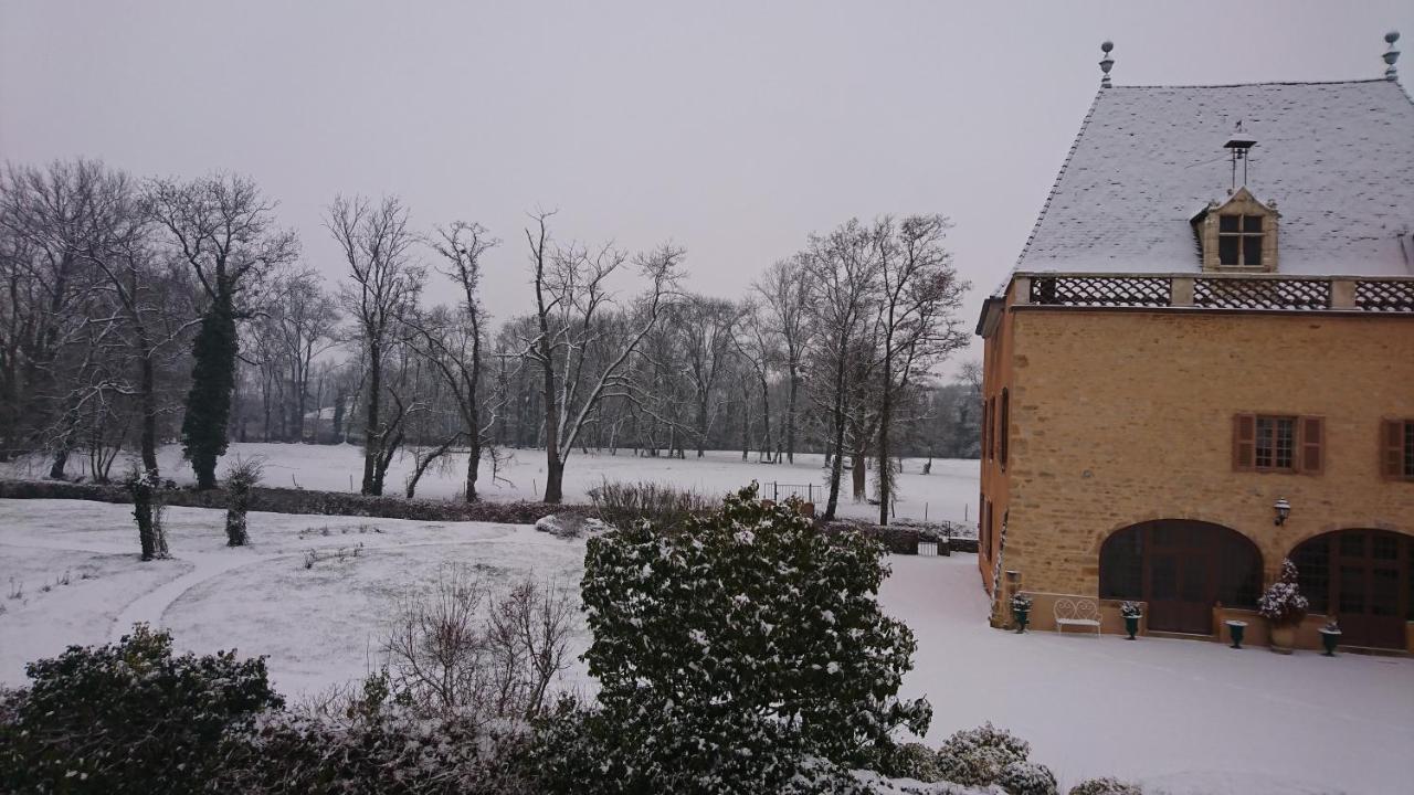 Chateau De La Venerie Denicé Exteriör bild